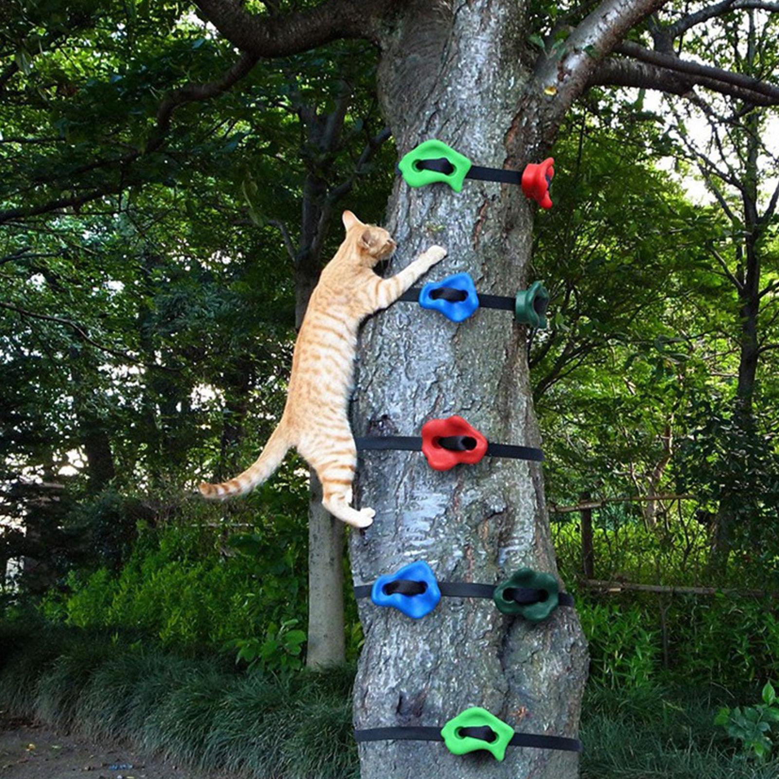 Outdoor-Klettergeräte Verstell – Outdoor Adventure Course Bewertung und Preis